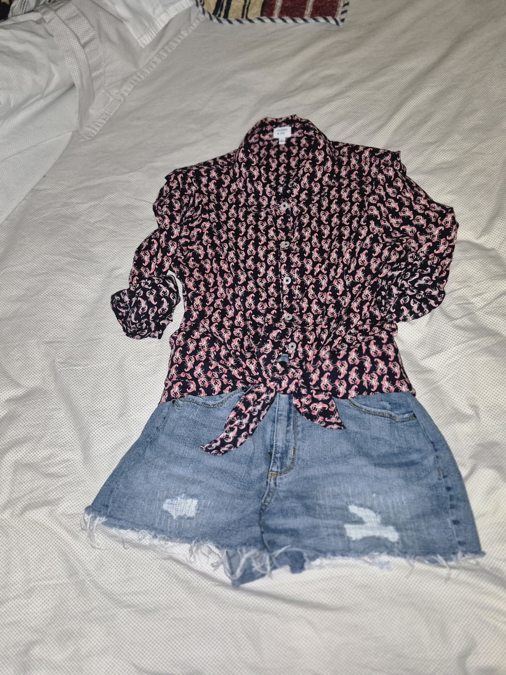 Cut Off Jean Shorts